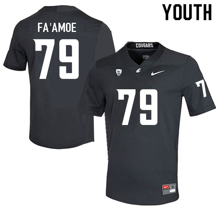 Youth #79 Fa'alili Fa'amoe Washington State Cougars College Football Jerseys Sale-Charcoal